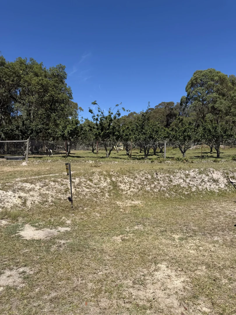 Additional image 14 of 1521 Morven Road, Dundee NSW 2370