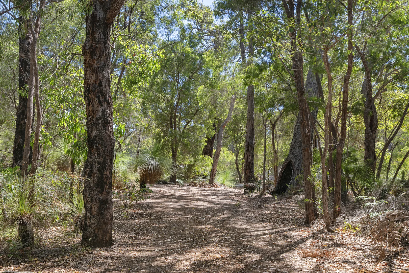 Additional image 10 of 12 Warrior Way, Molloy Island WA 6290