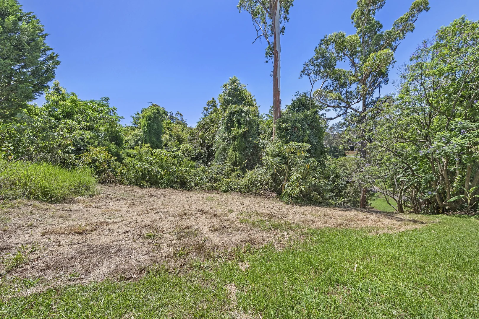 Additional image 6 of Tamborine Mountain QLD 4272