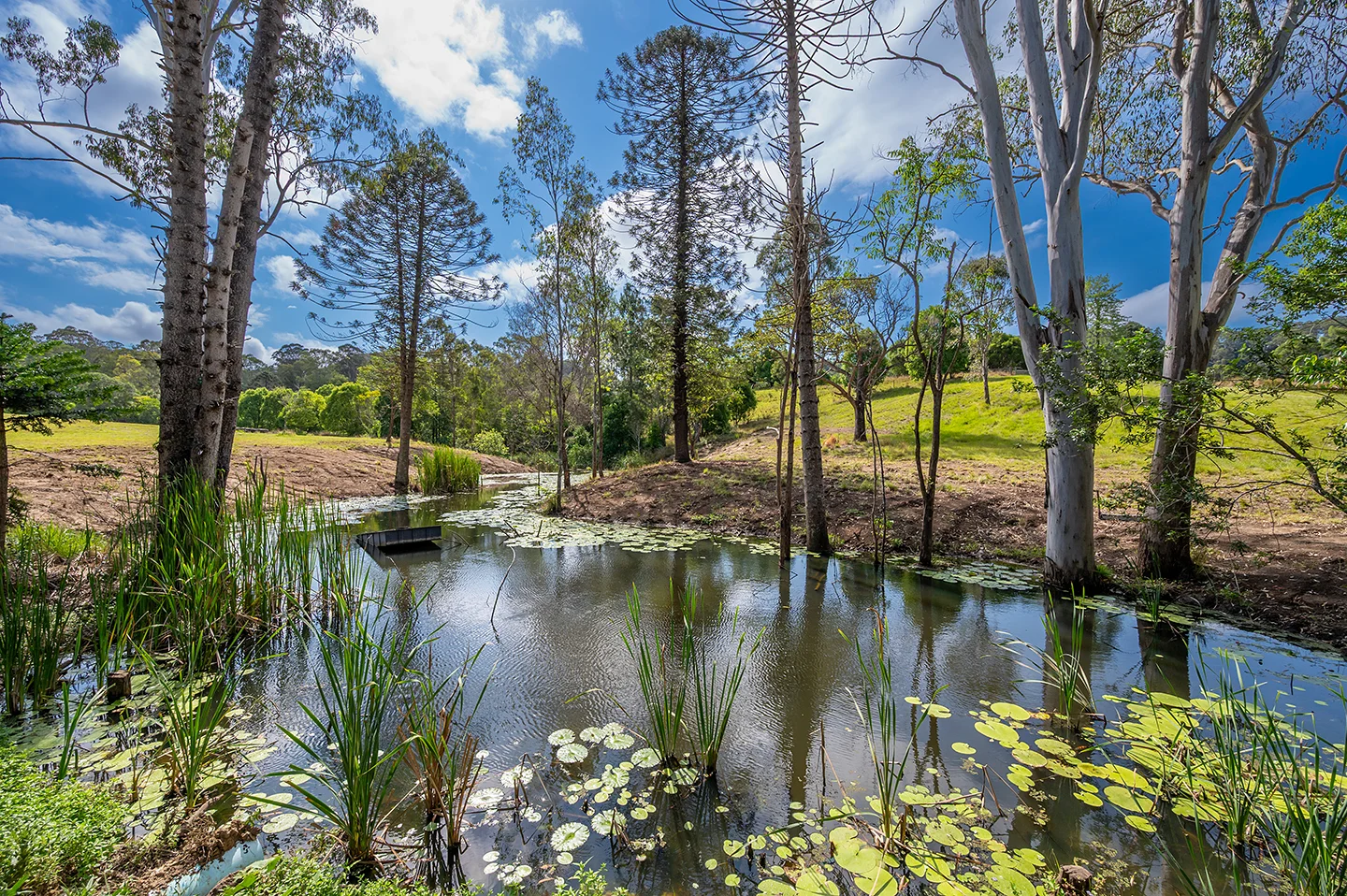 Additional image 6 of 52 Musavale Road, Eerwah Vale QLD 4562