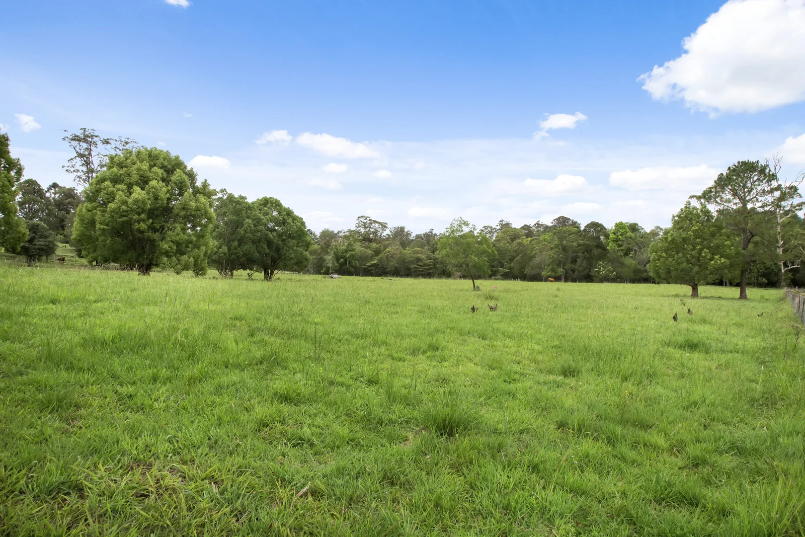 Additional image 10 of 116 Thrushs Road, Dulong QLD 4560