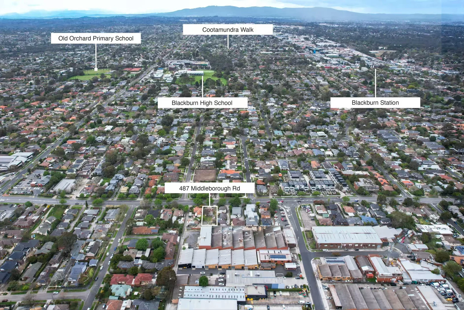 Additional image 6 of 487 Middleborough Road, Box Hill North VIC 3129