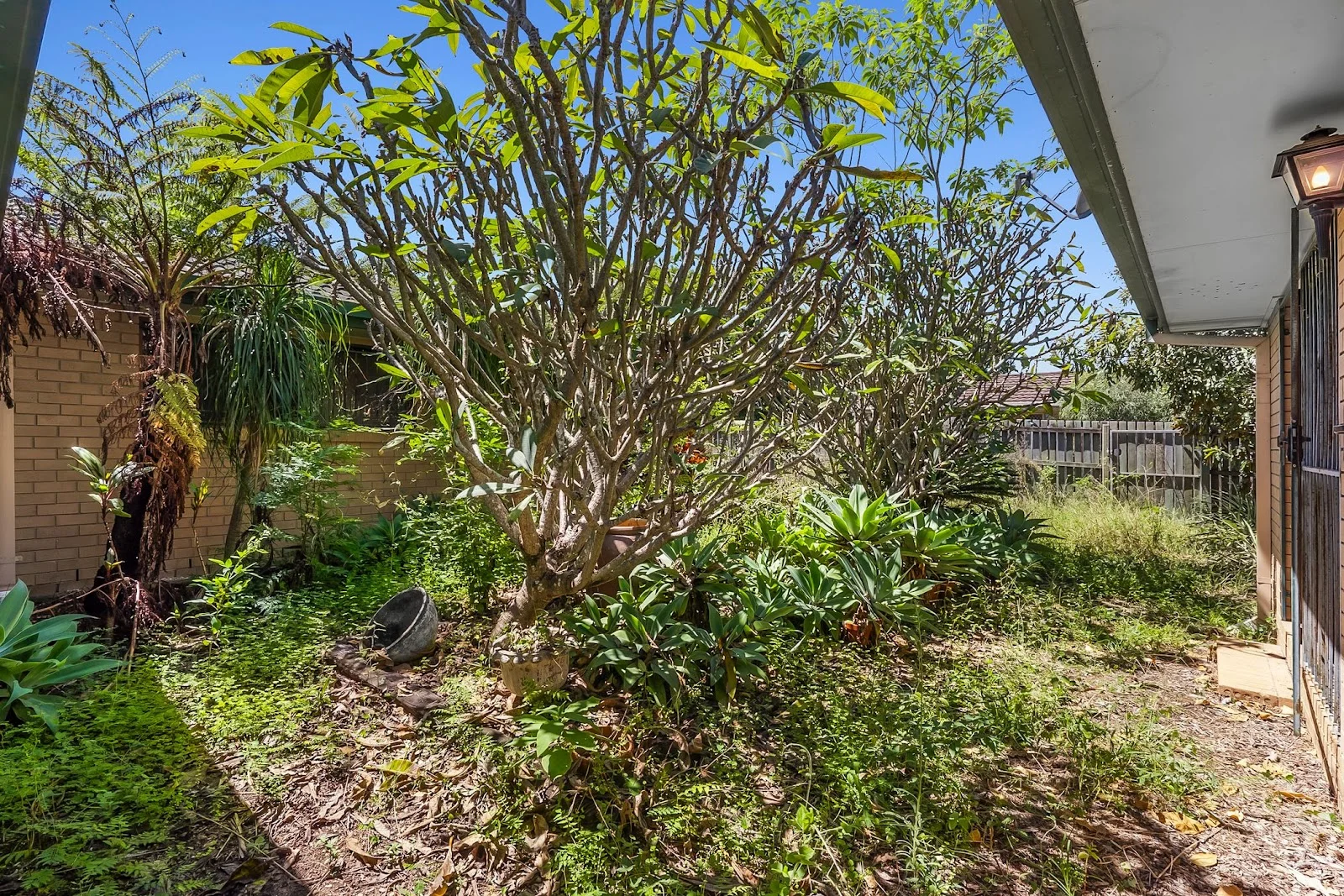 Additional image 7 of 25 Carmela Crescent, Morayfield QLD 4506
