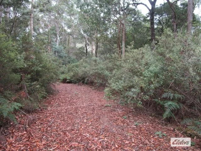 Additional image 3 of Lot 3 Jordans Road, North Motton TAS 7315