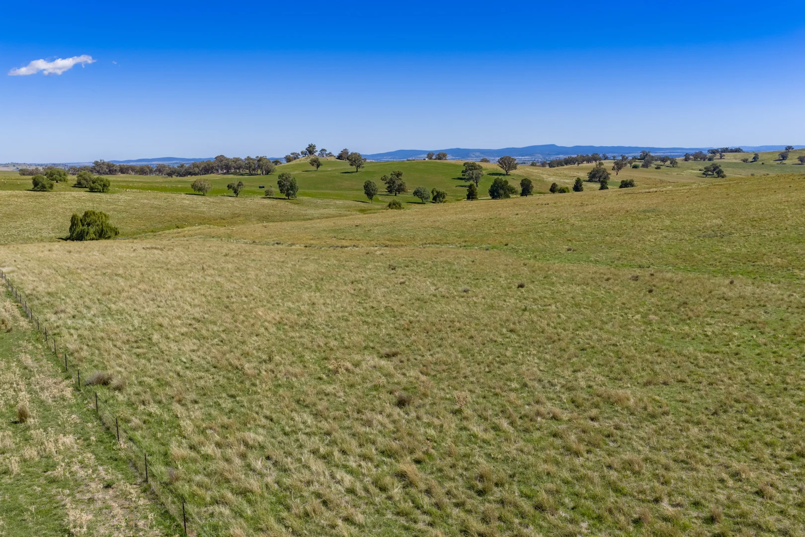 Additional image 4 of 306 Moola Road, Canowindra NSW 2804