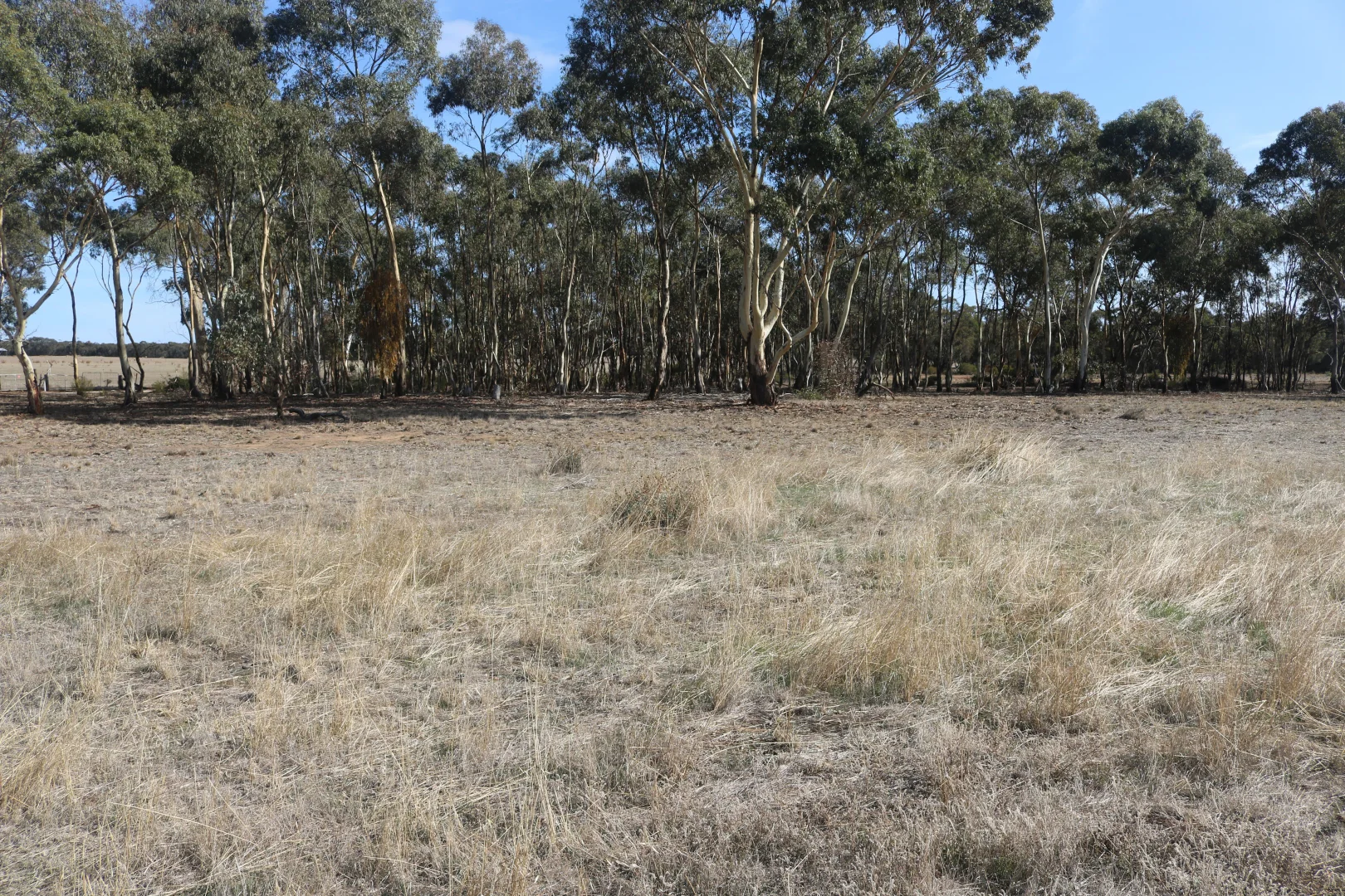 Old Boort Road, Woolshed Flat VIC 3518 photo 5