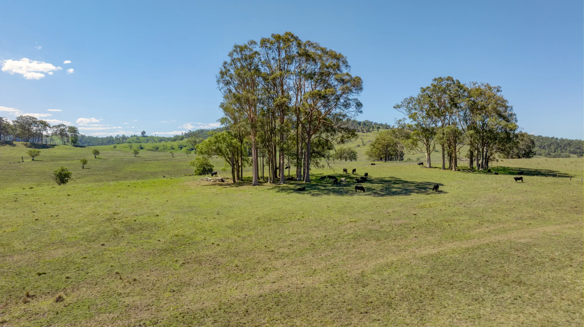 Additional image 10 of 1993 Glendonbrook Road, Gresford NSW 2311