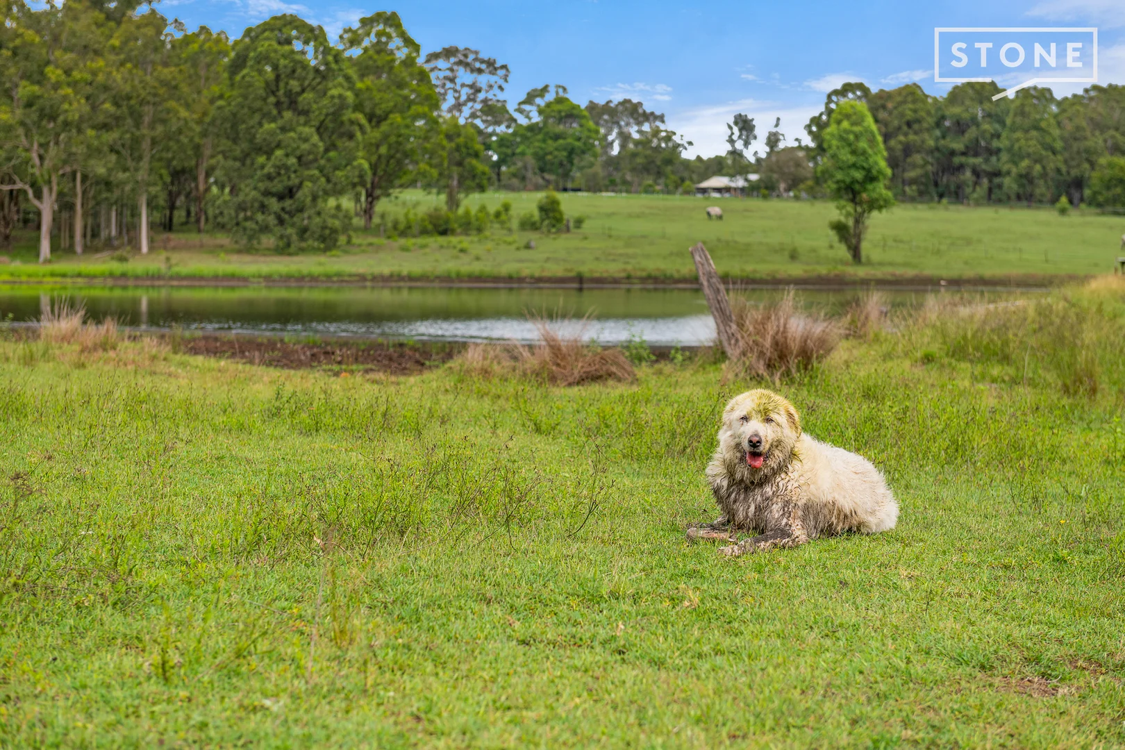 Additional image 14 of 11 James Lane, Sawyers Gully NSW 2326