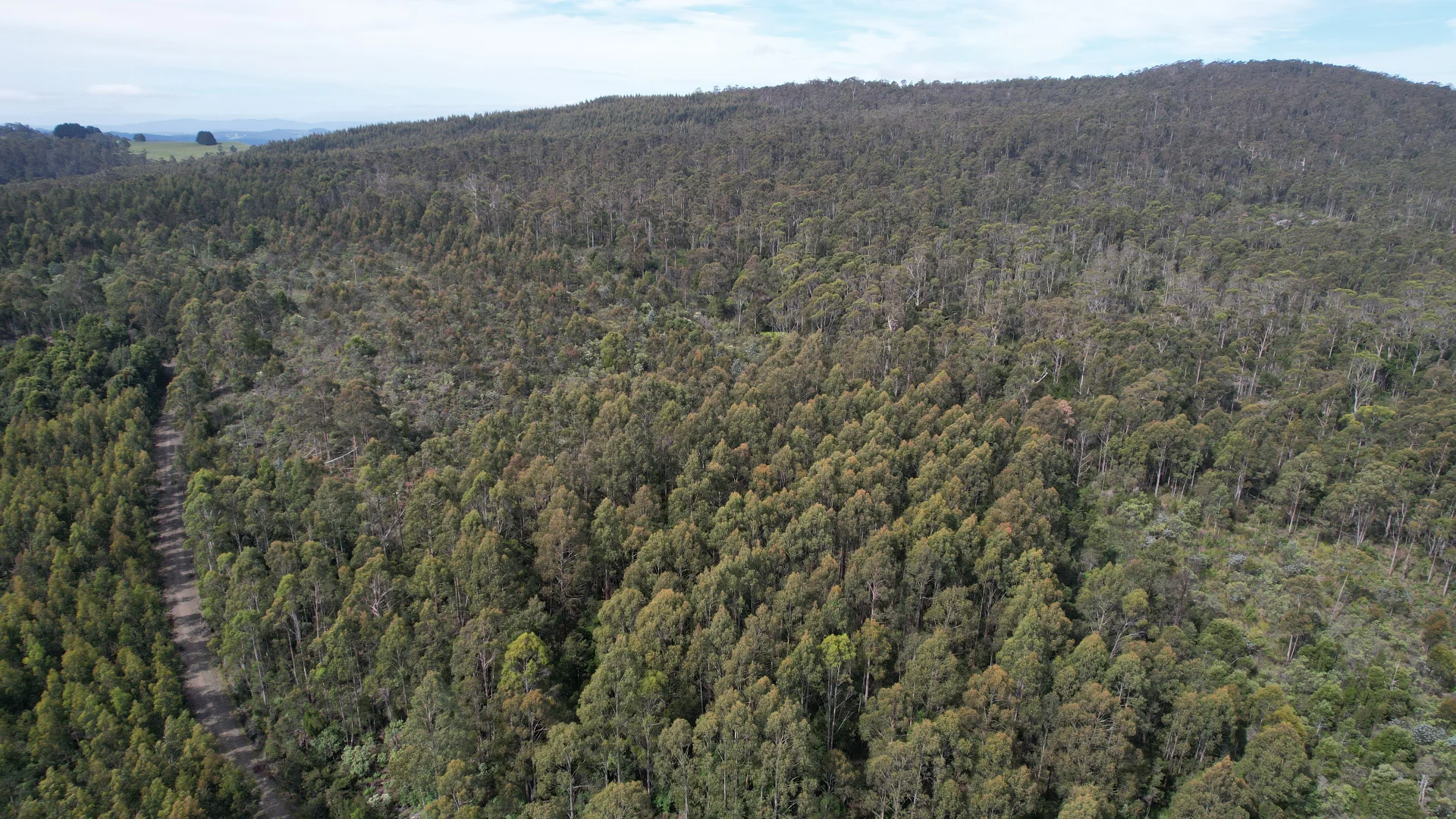 Additional image 6 of 0a Priestleys Lane, Birralee TAS 7303
