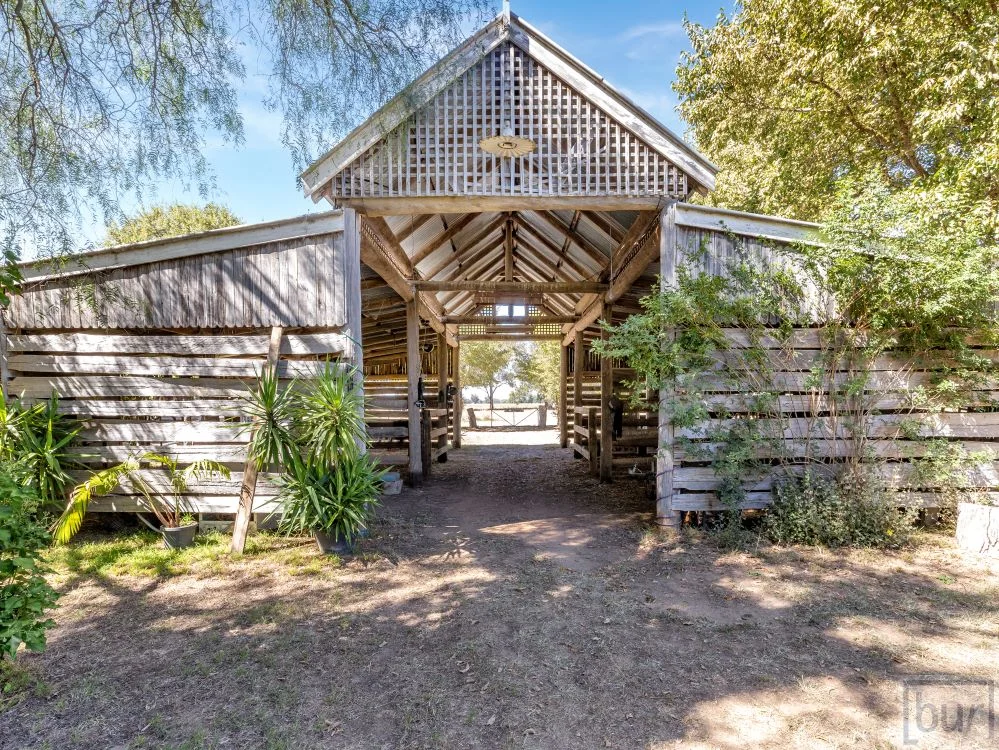 Additional image 33 of 142 Whittaker Lane, Howlong NSW 2643