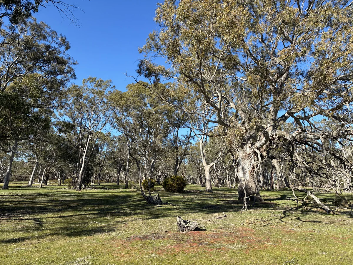 Additional image 13 of 716 Victoria Valley Road, Victoria Valley VIC 3294