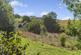Additional image 41 of Stockleigh Pomeroy, Crediton, EX17