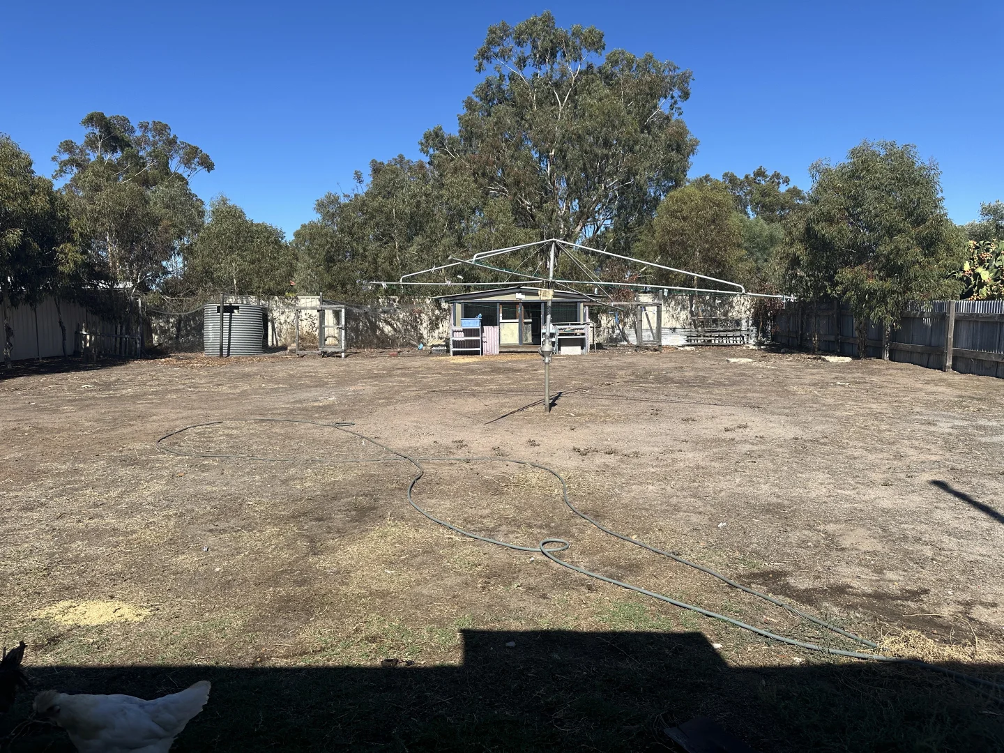 Additional image 13 of 6 Dijon Street, Katanning WA 6317