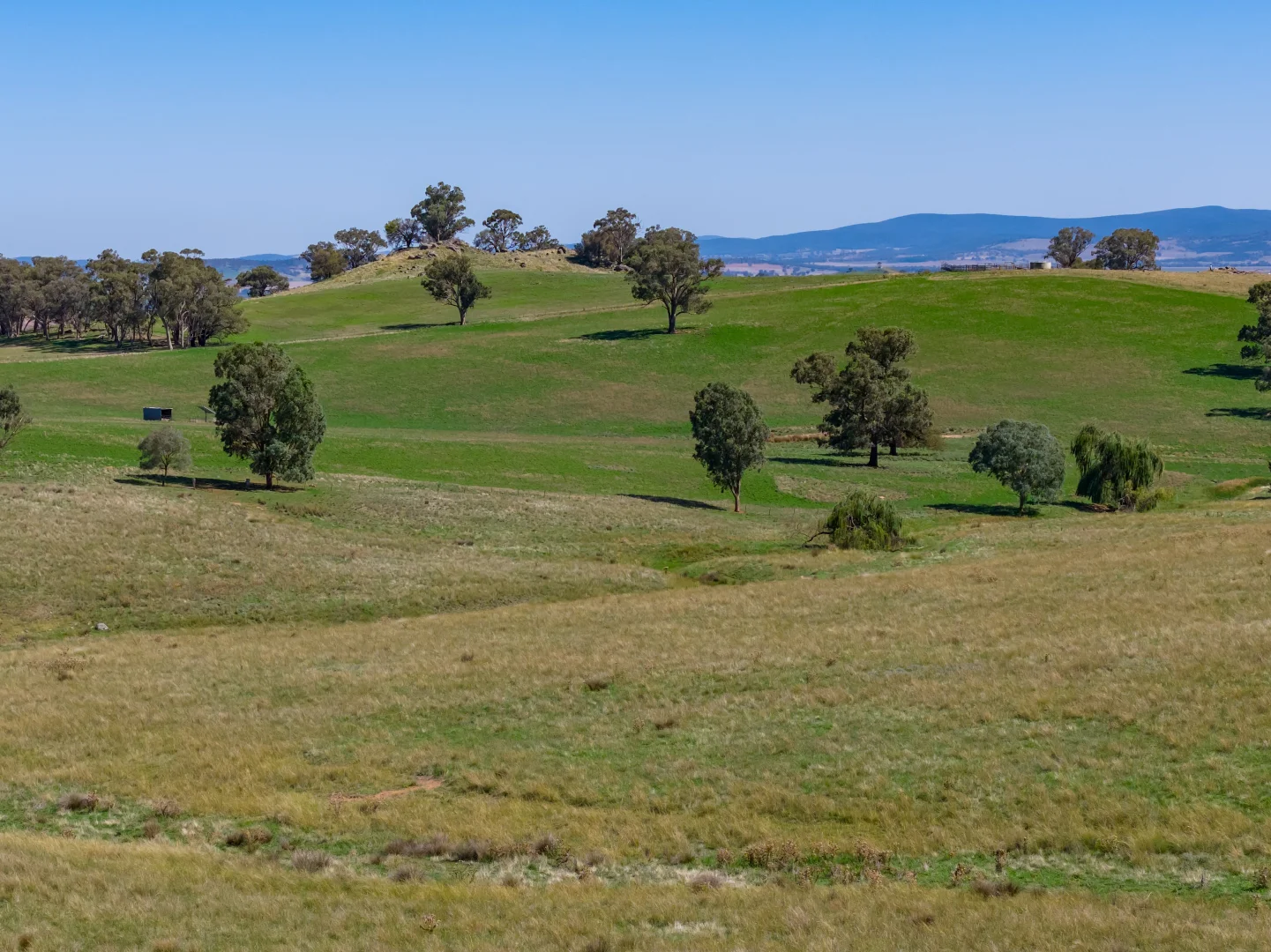 Additional image 17 of 306 Moola Road, Canowindra NSW 2804