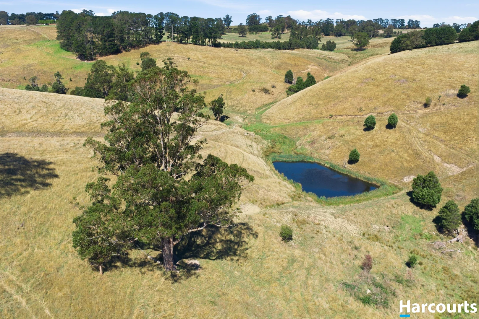Additional image 16 of 8 Stubbers Lane, Mirboo North VIC 3871