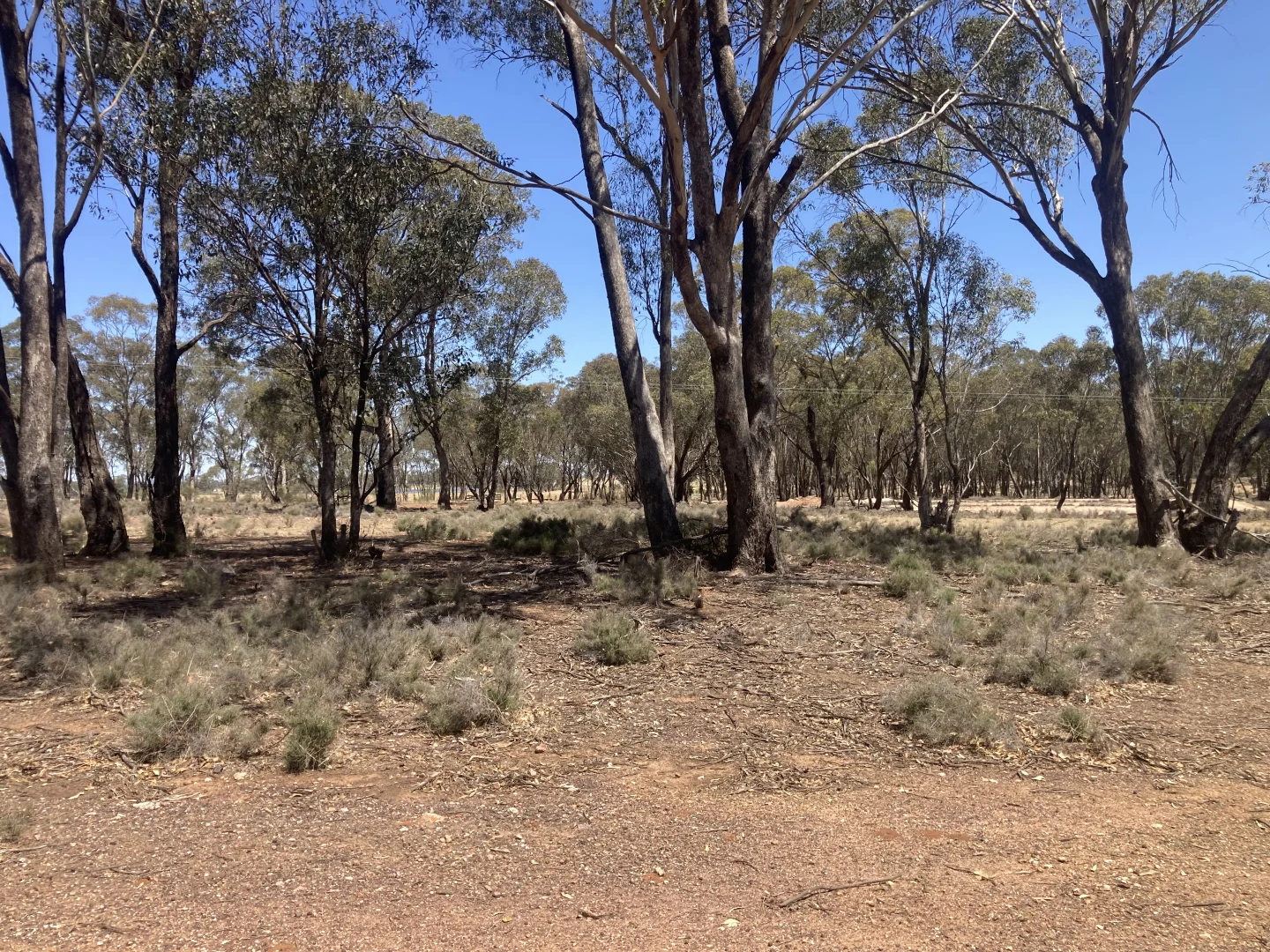 Additional image 17 of 178 Moroneys Lane, Temora NSW 2666