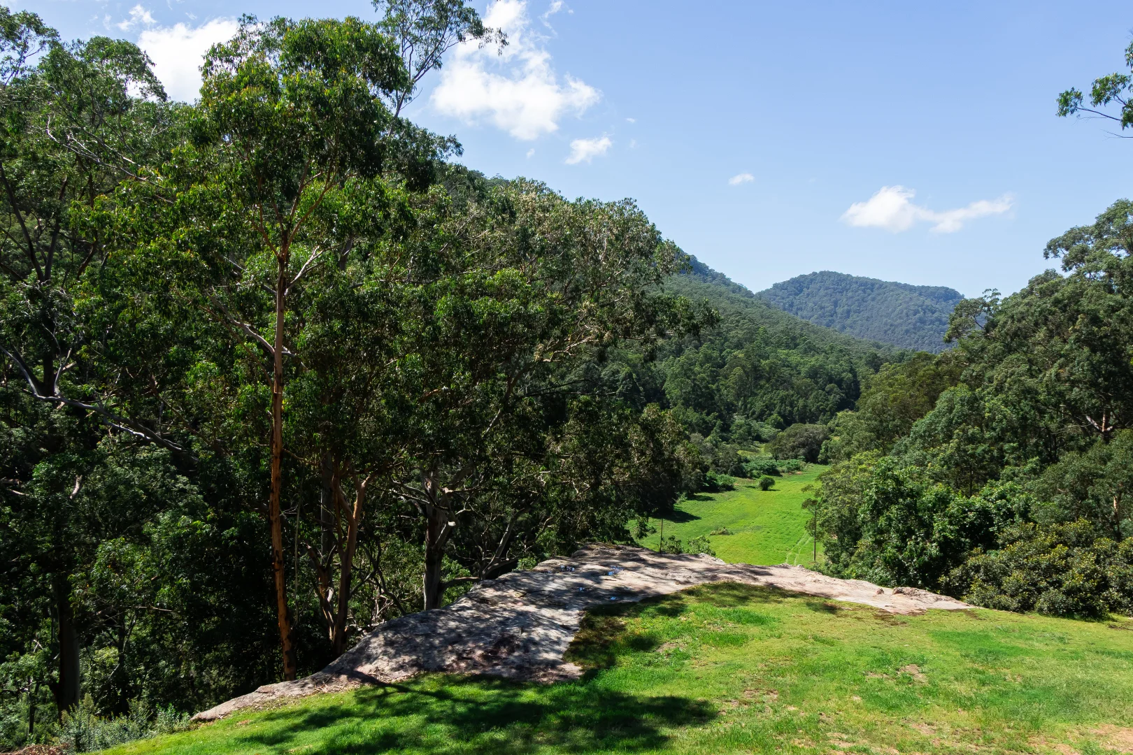 Additional image 3 of 35 Dogwood Road, Laguna NSW 2325