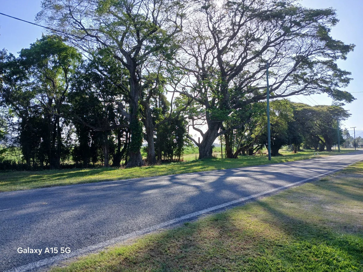 Additional image 28 of 76 Eddleston Drive, Cordelia QLD 4850
