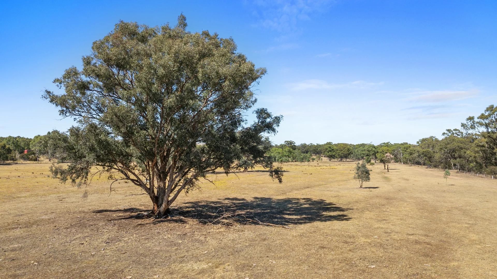 Additional image 9 of 1, 50 Spencer Rd, Avenel VIC 3664