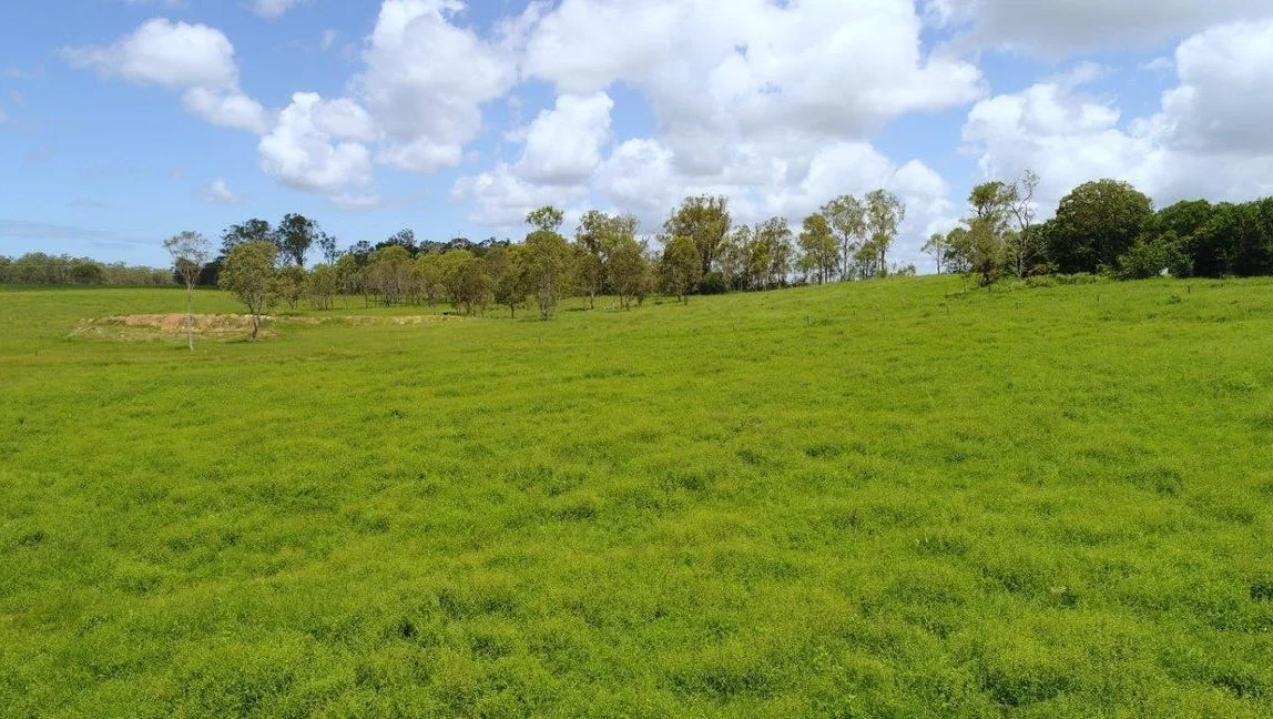 Additional image 31 of 208 Stegemans Road, Rosedale QLD 4674