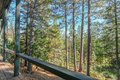 Additional image 76 of 2637 Ruth Ln, Arnold, CA, 95223