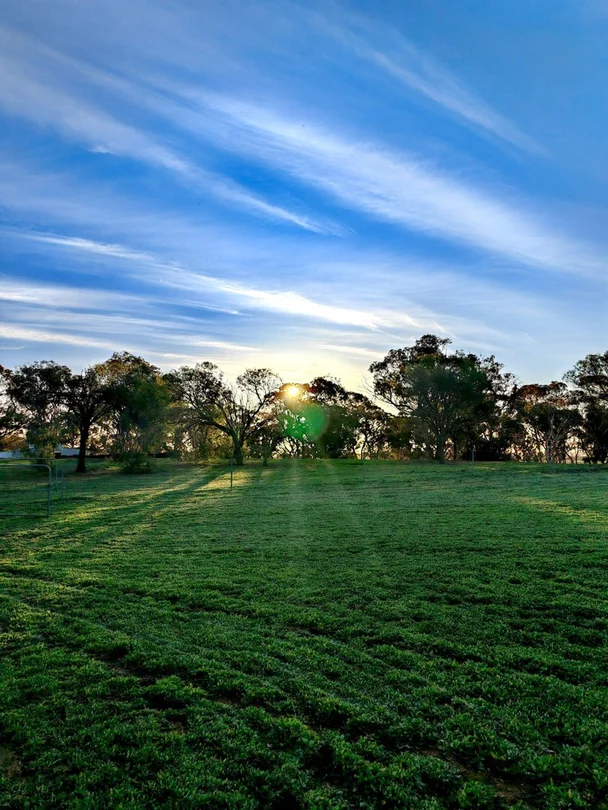 650 Dry Well Road, Corrigin WA 6375