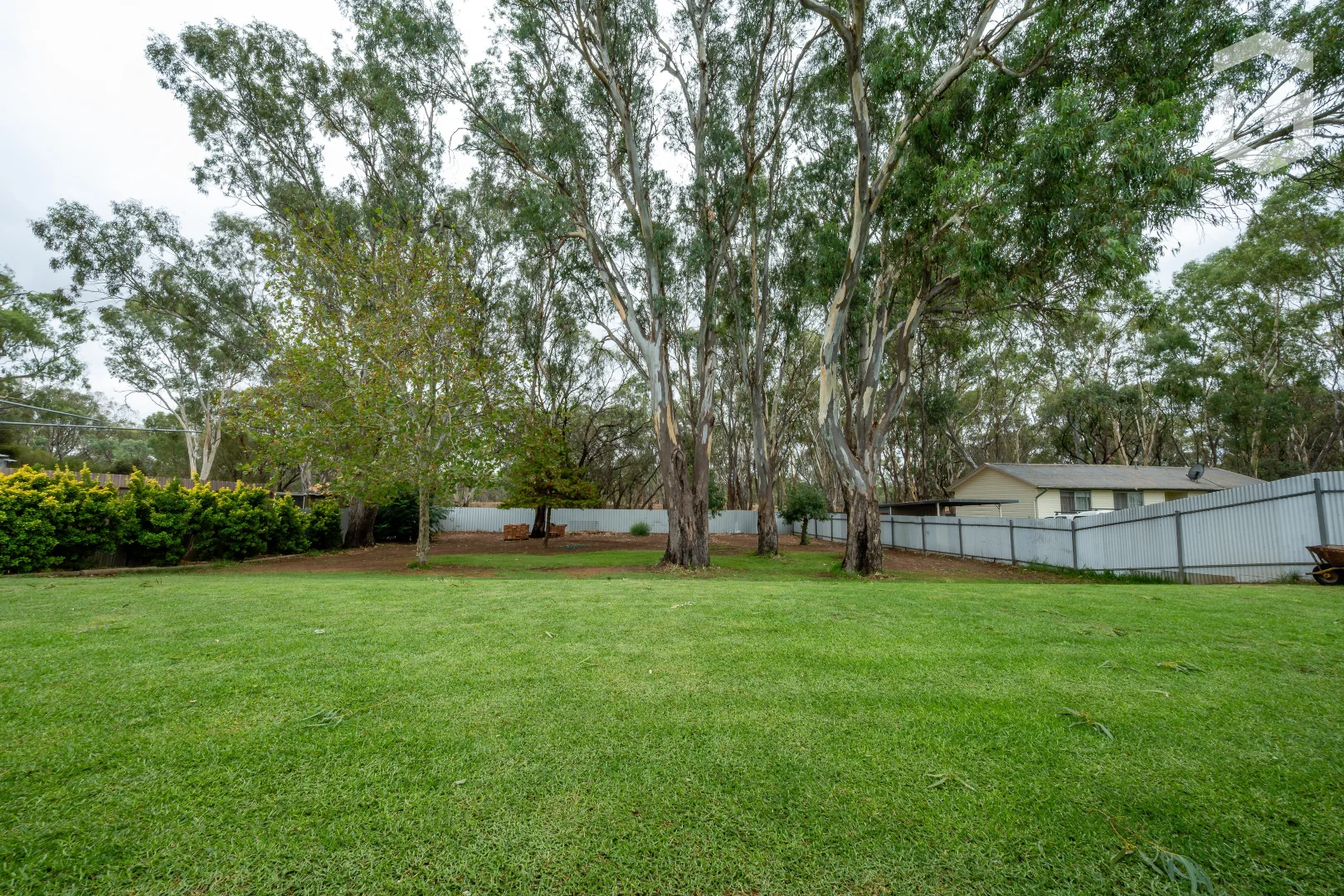 Additional image 13 of 19 White Street, Darlington Point NSW 2706