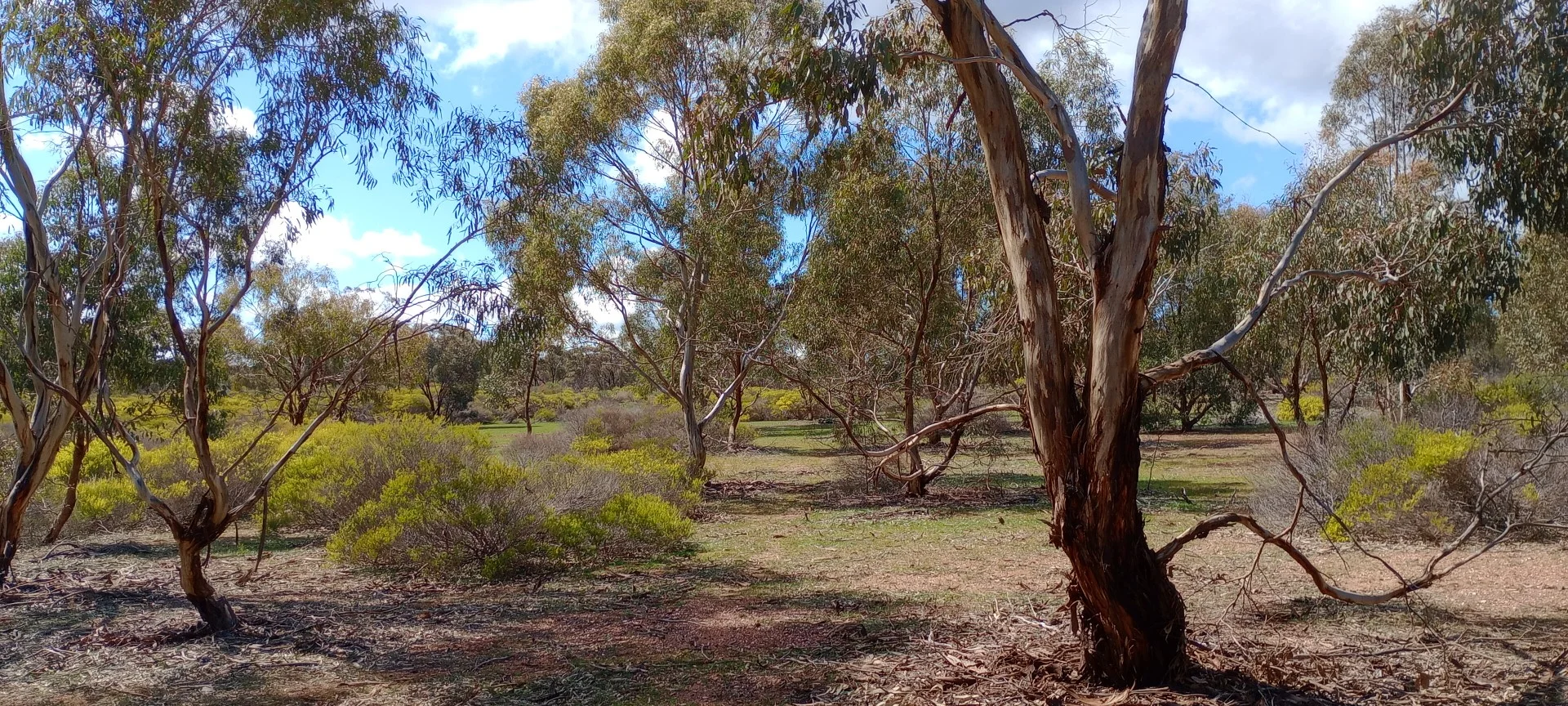 Additional image 2 of Wedderburn VIC 3518