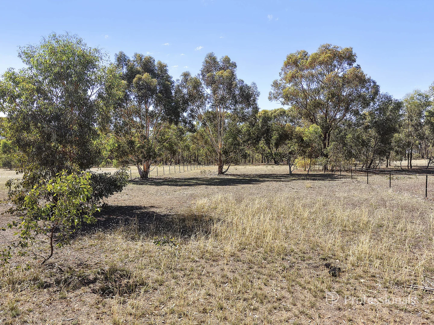 Additional image 6 of 767 Maryborough Dunolly Road, Havelock VIC 3465