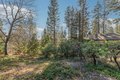 Additional image 56 of 2637 Ruth Ln, Arnold, CA, 95223