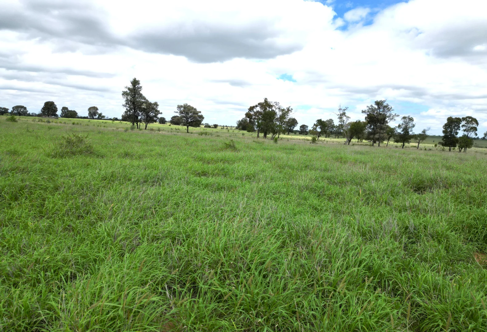Additional image 14 of Billabong, Orallo Road, Roma QLD 4455