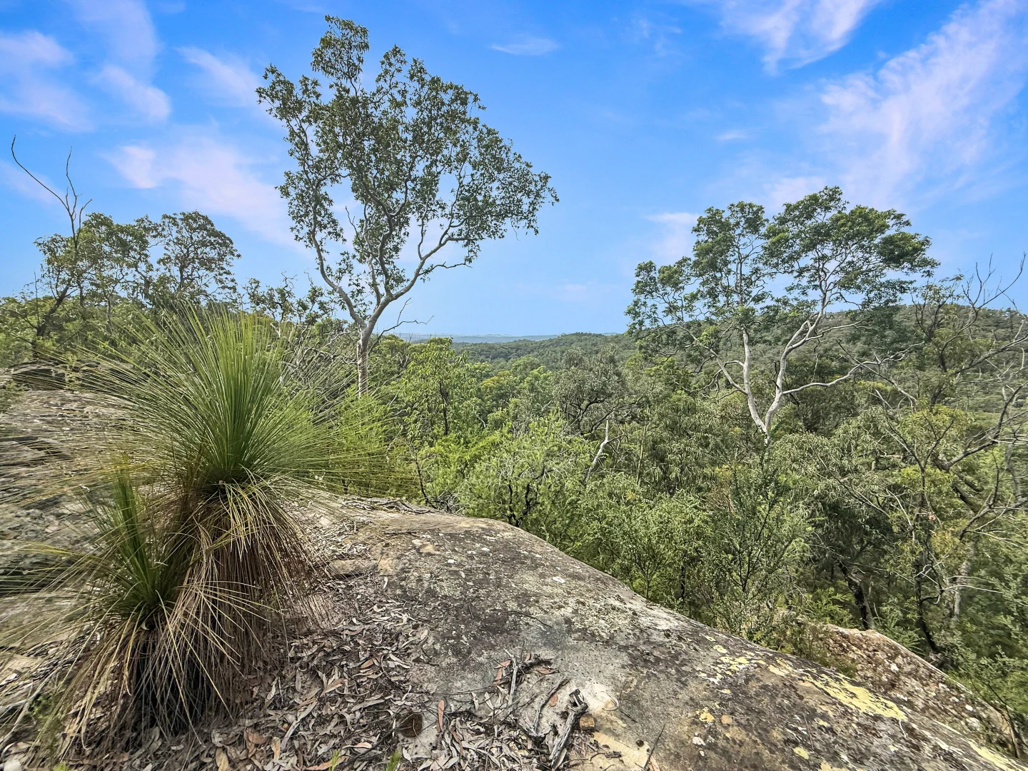 Additional image 16 of 112 Finchley Track, Laguna NSW 2325