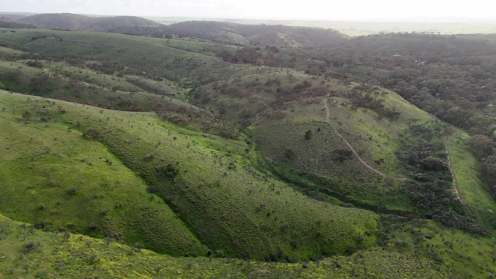 Additional image 8 of 'Crystal Valley' Talbots Road, Crystal Brook SA 5523