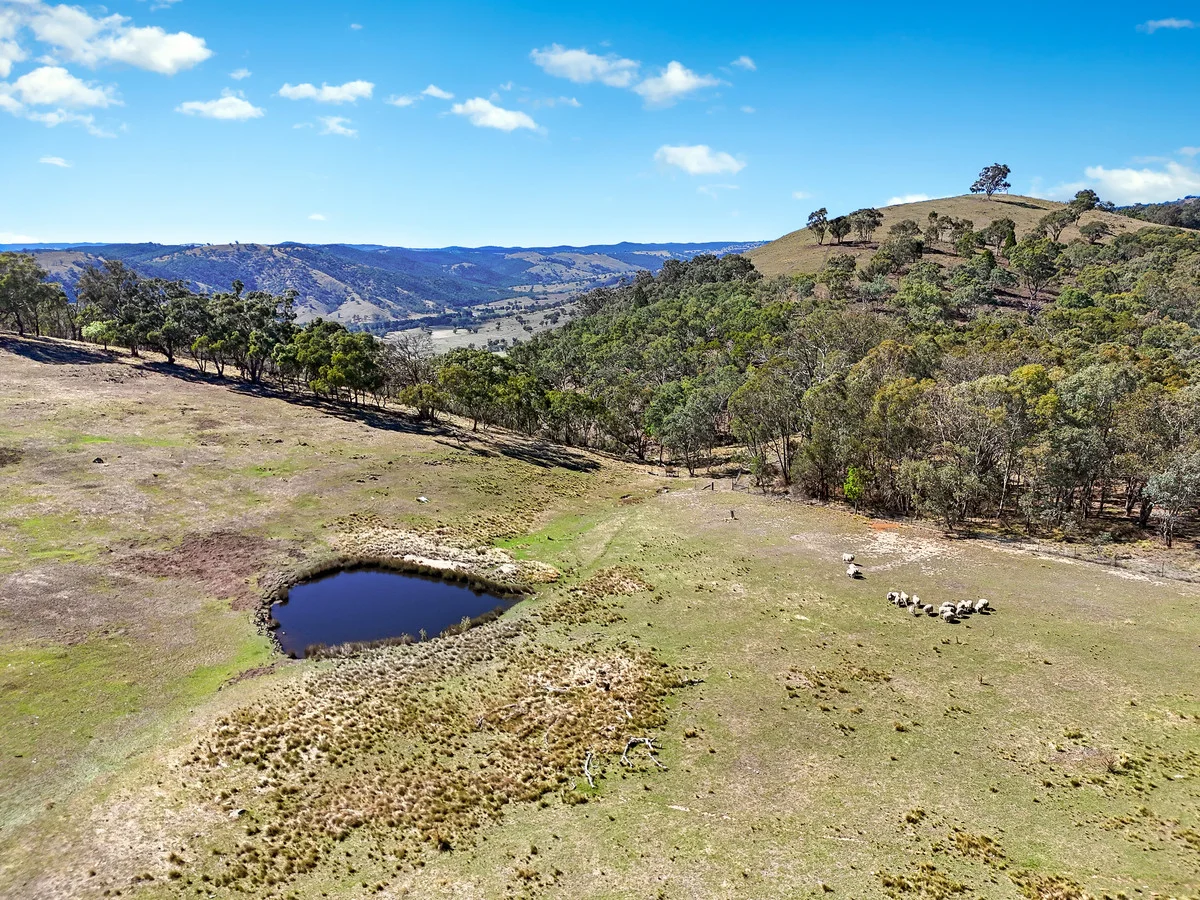 Additional image 9 of 1936 Greenmantle Road, Bigga NSW 2583