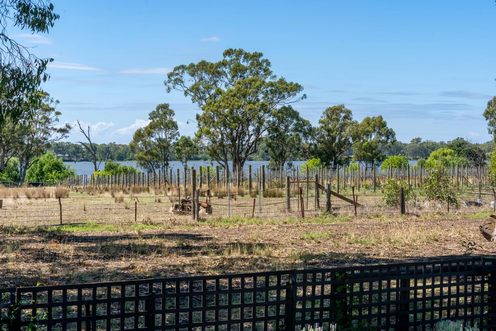Additional image 43 of 31 Baxters Road, Goulburn Weir VIC 3608