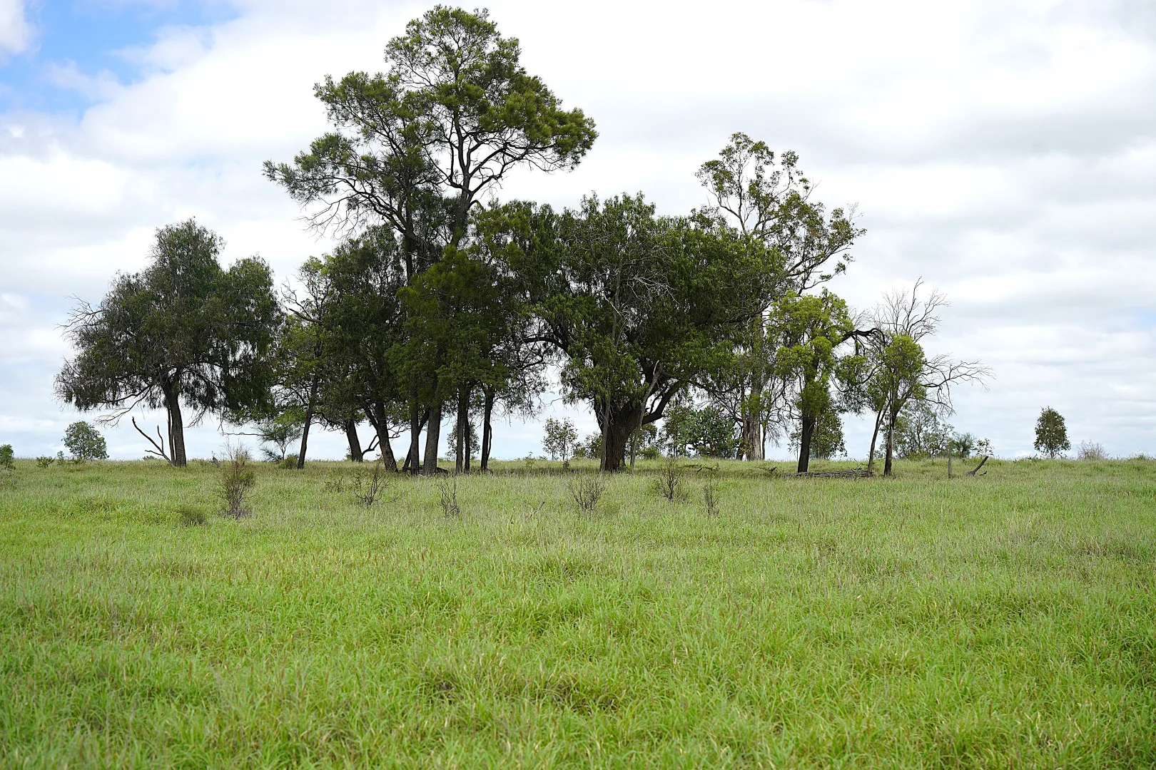 Additional image 10 of Billabong, Orallo Road, Roma QLD 4455