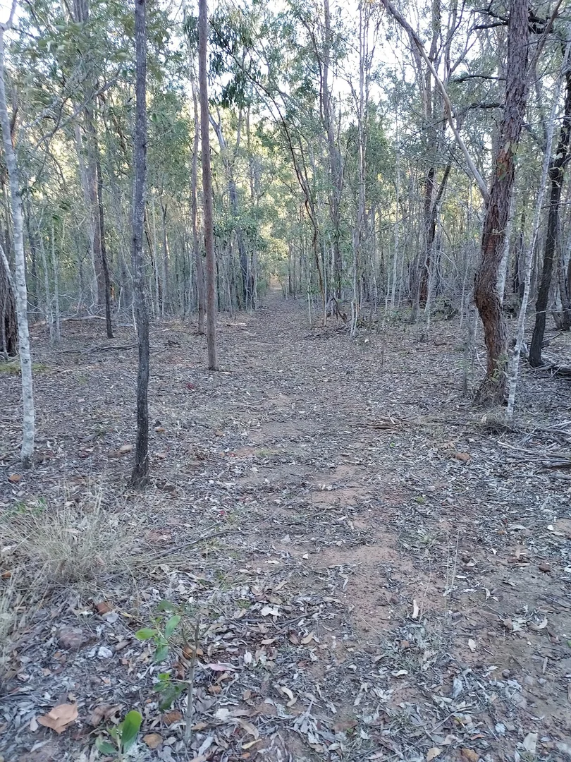 Additional image 35 of 289 Mount Mulgowie Road, Buaraba QLD 4311