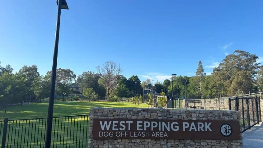 Additional image 14 of 23 Delaware Street, Epping NSW 2121