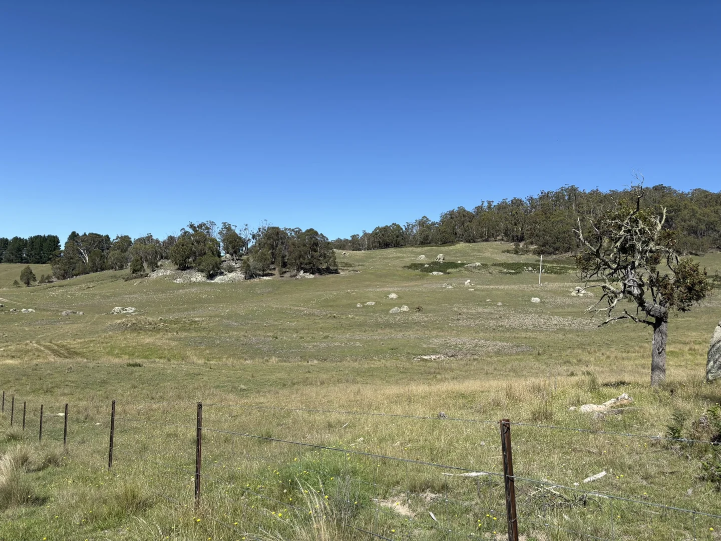 Additional image 15 of Lot 125/125, 175 Tumbledown Road, Peak View NSW 2630