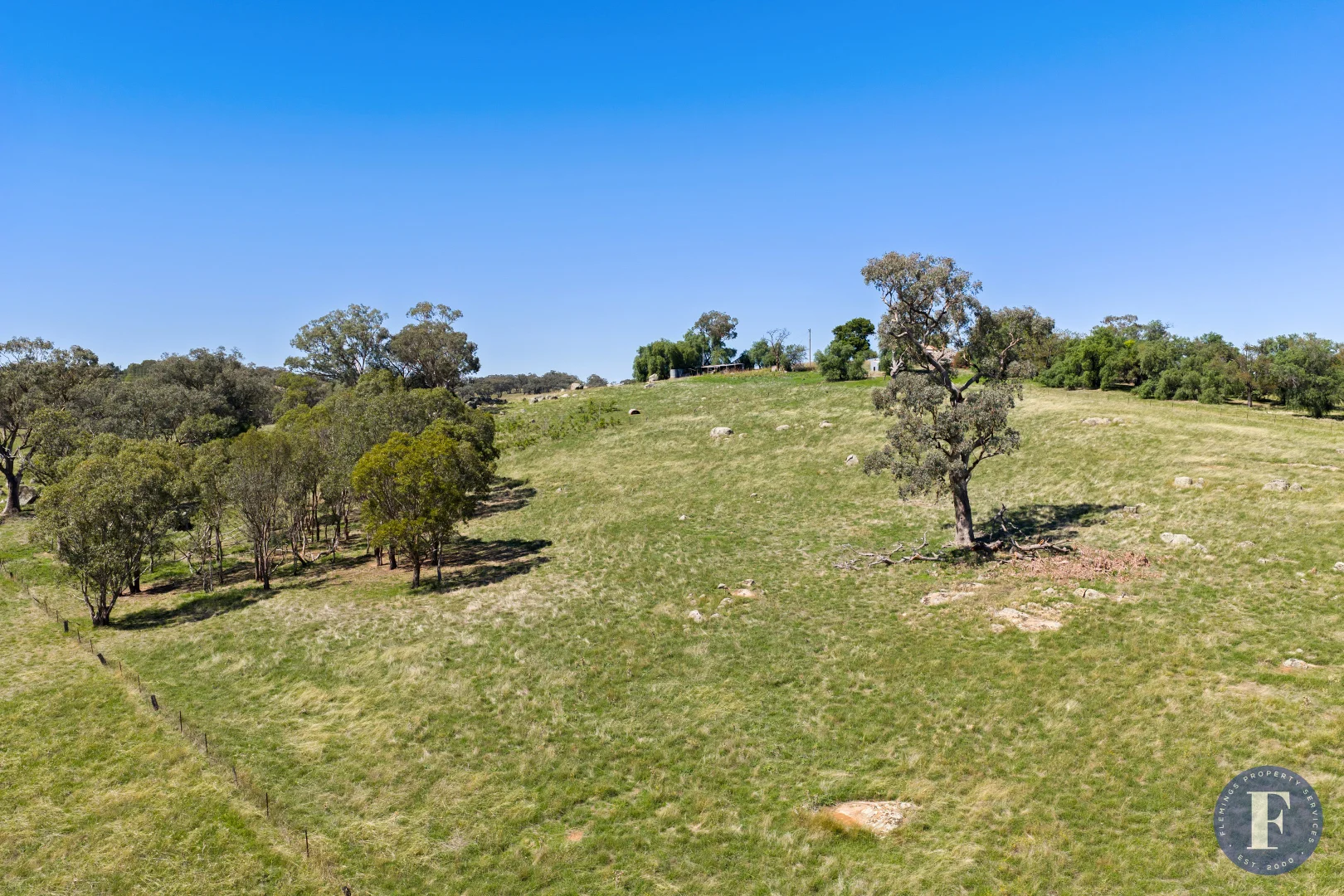Additional image 9 of 130 Allandale Road, Young NSW 2594