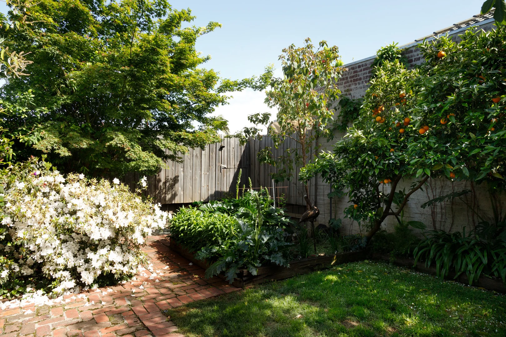 Additional image 24 of 16 Wyndham Street, Shepparton VIC 3630
