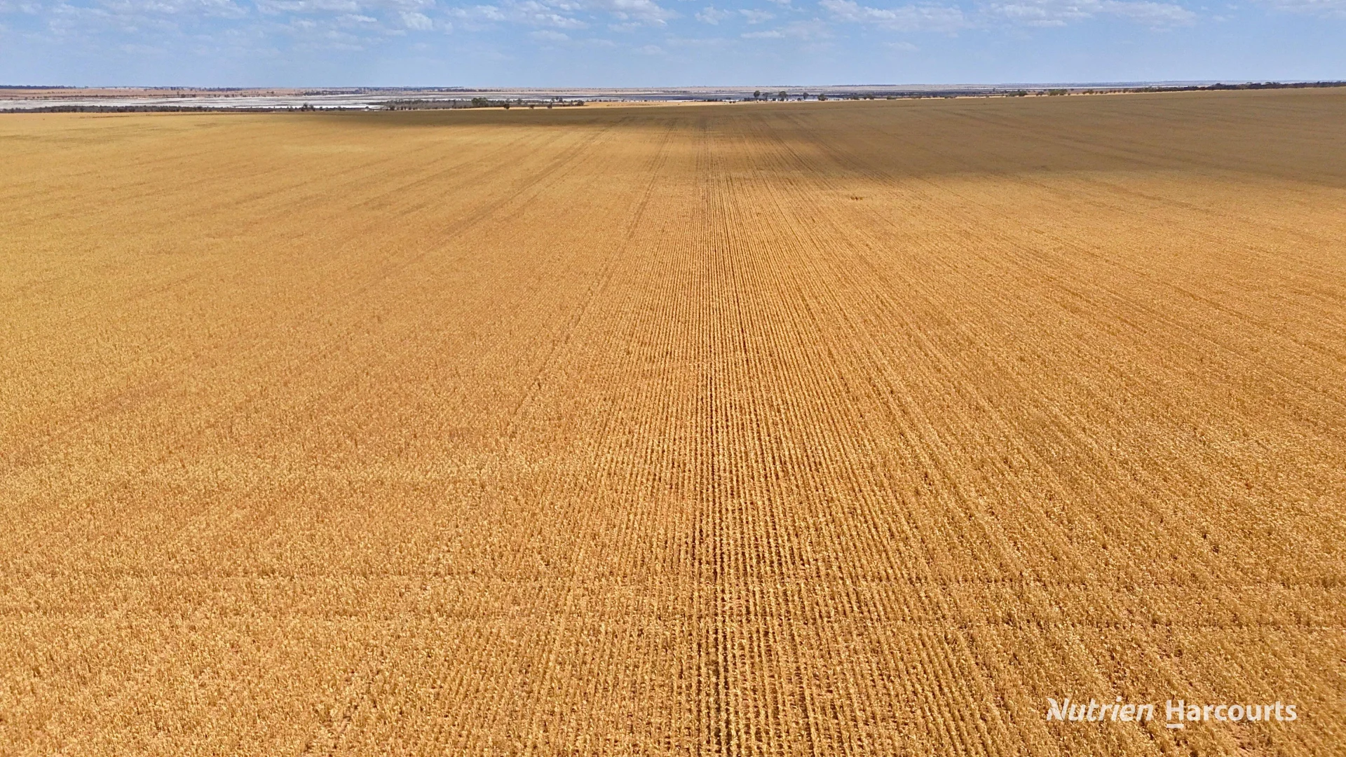Additional image 4 of Lot 504 Dowerin-Koorda Road, Booralaming WA 6475