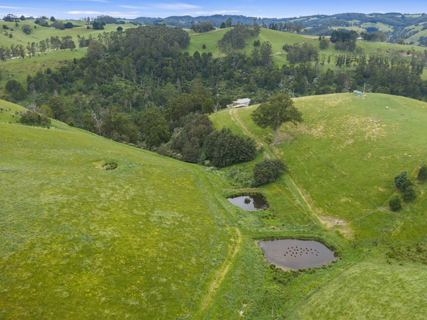 Additional image 24 of 350 Wild Dog Road, Strzelecki VIC 3950