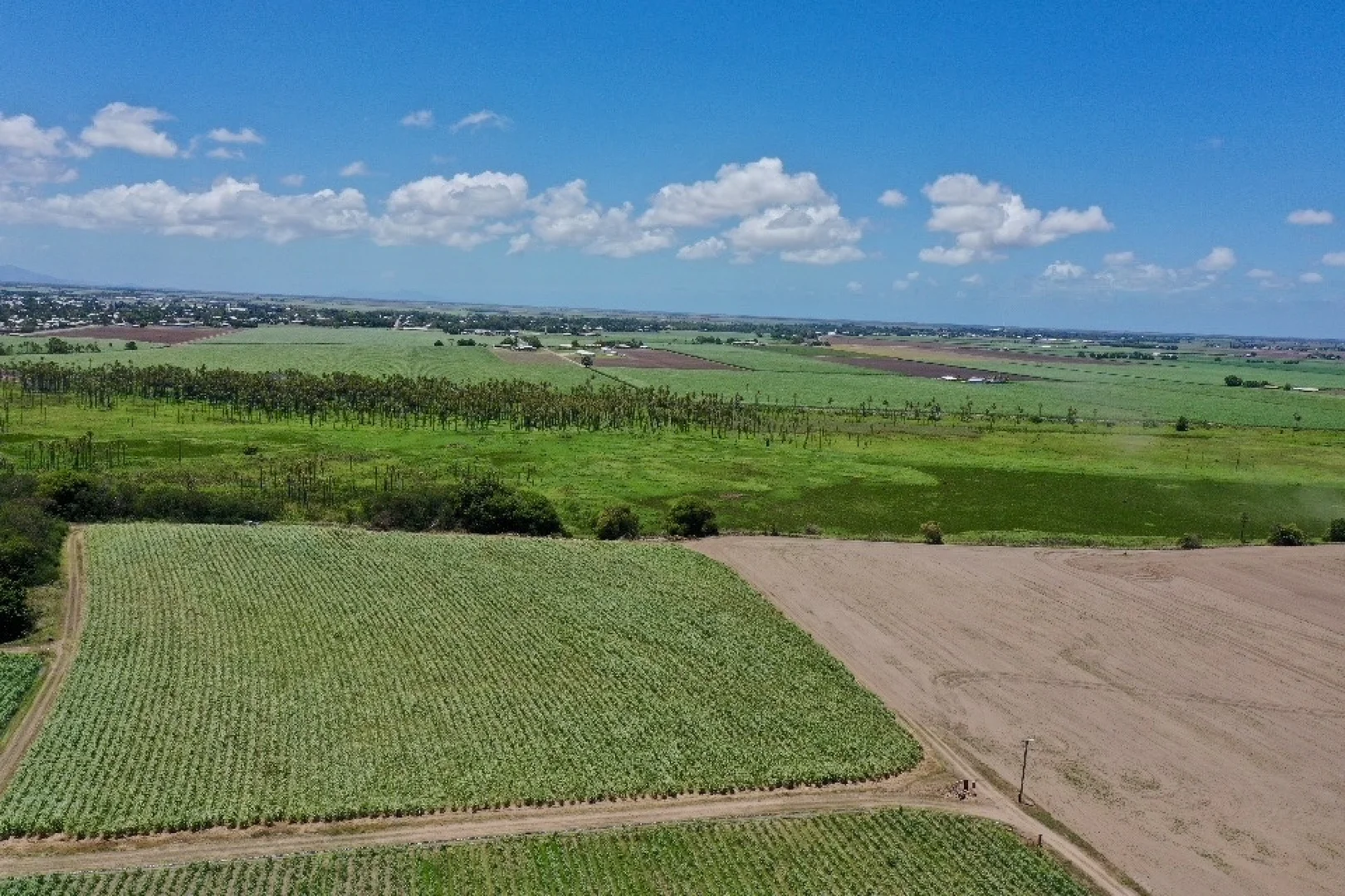 Additional image 6 of 121 Hobson Road, Jarvisfield QLD 4807