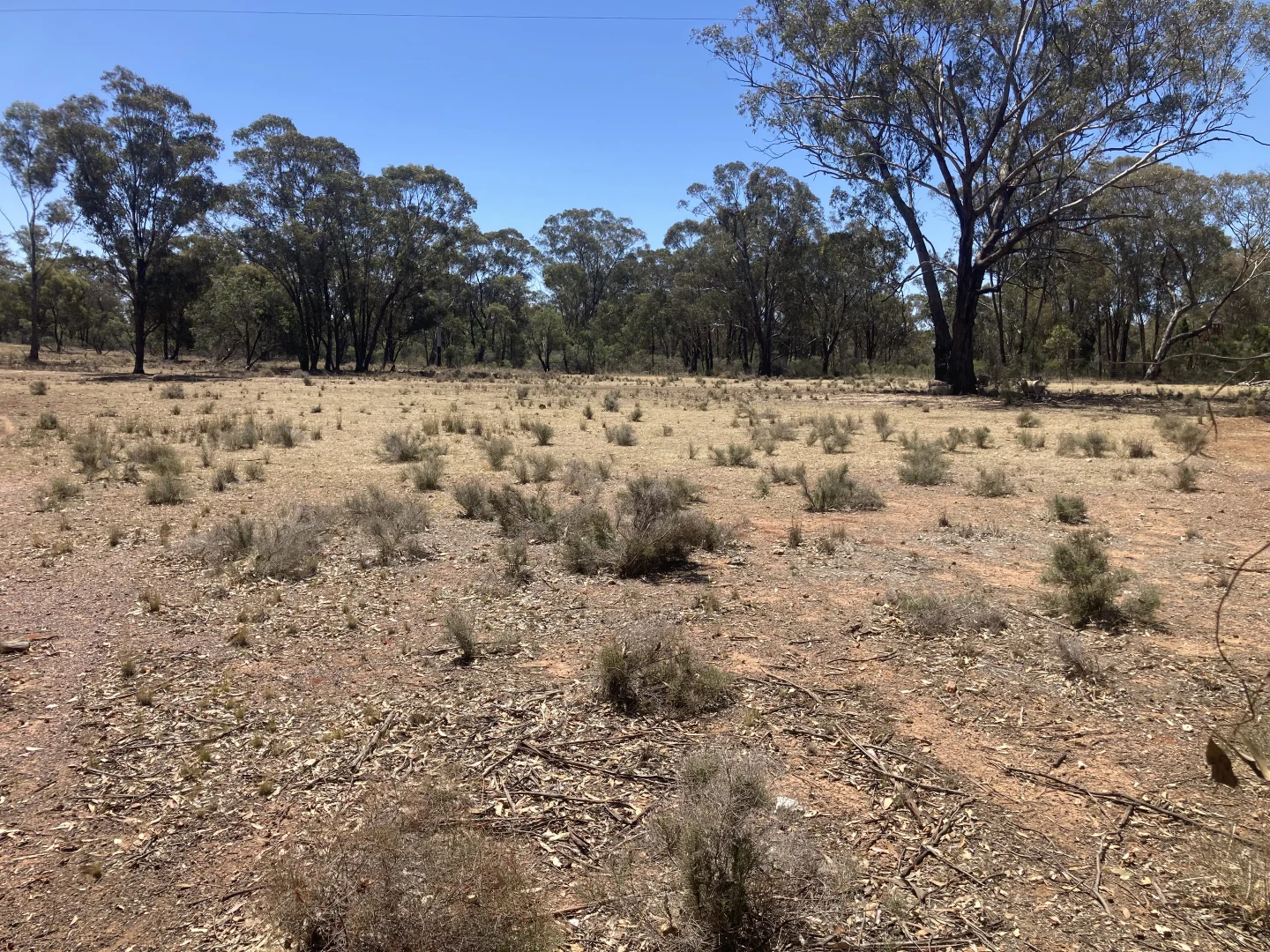 Additional image 15 of 178 Moroneys Lane, Temora NSW 2666