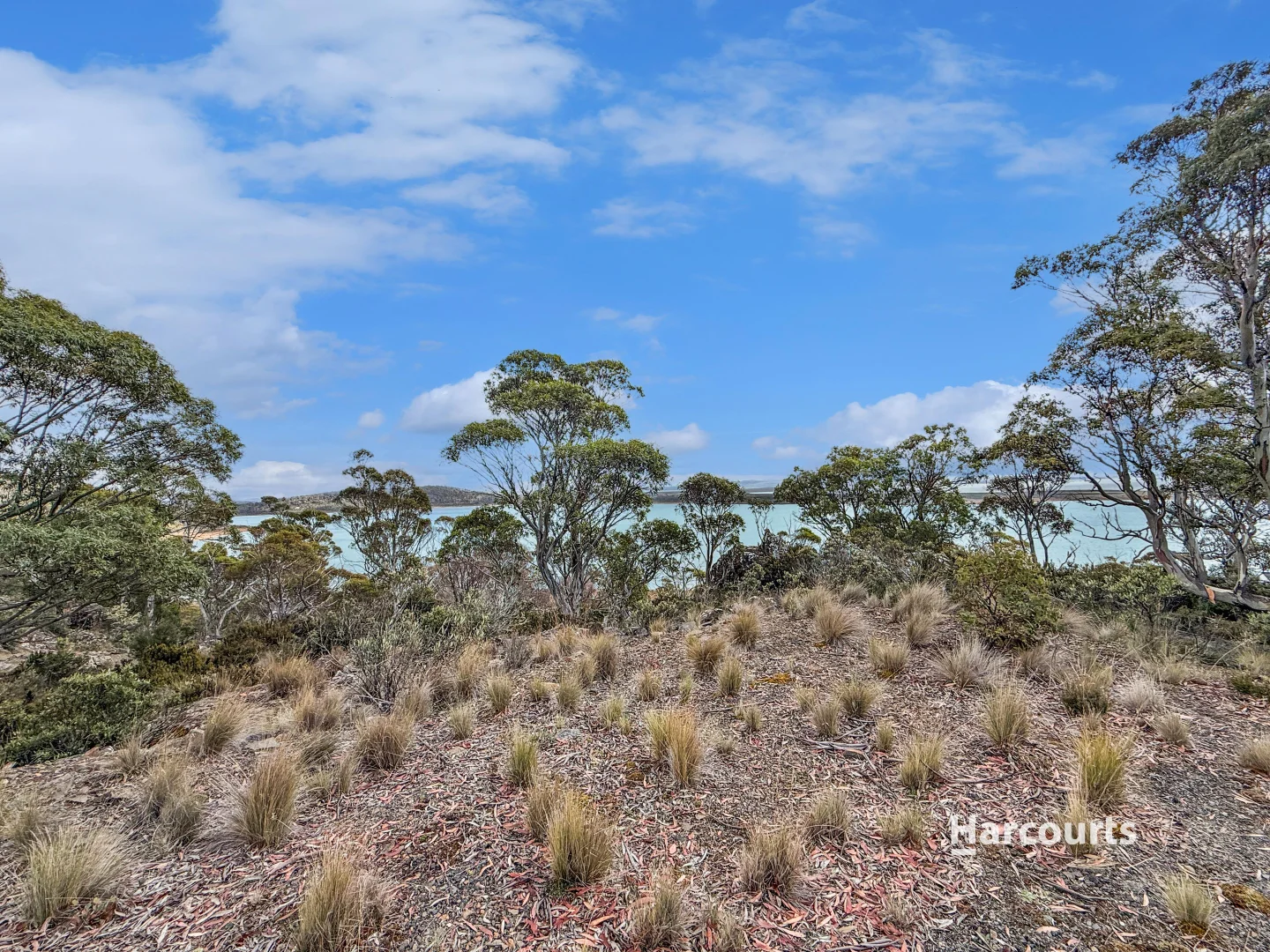 Additional image 10 of 73b Jones Road, Miena TAS 7030