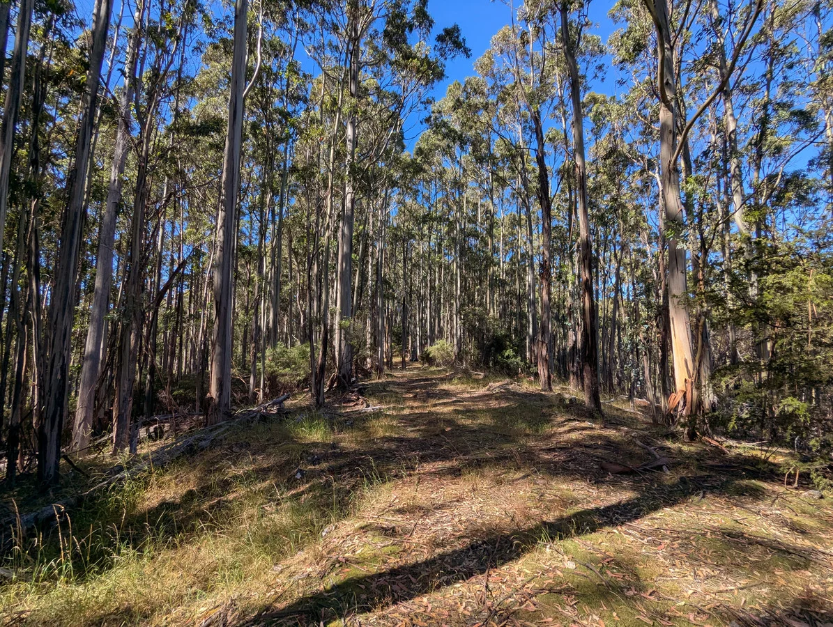 Additional image 2 of 3 Nicholls Rivulet Road, Nicholls Rivulet TAS 7112