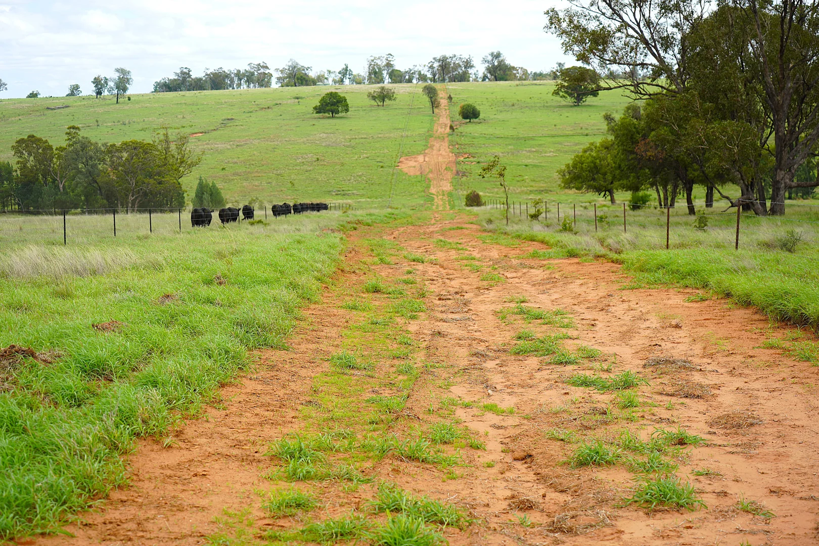 Additional image 7 of Billabong, Orallo Road, Roma QLD 4455