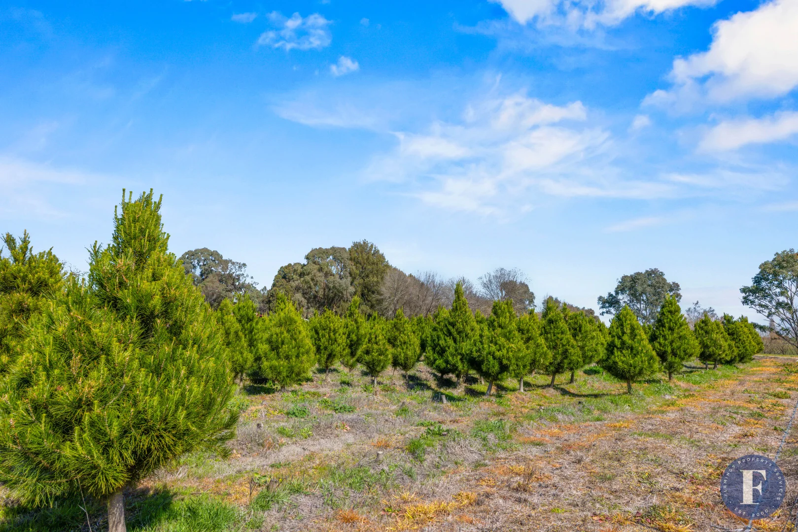 Additional image 7 of Lot 13/81 Campbell Street, Boorowa NSW 2586