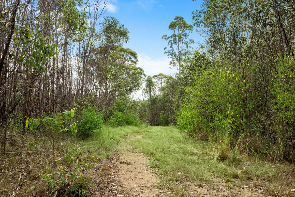 Additional image 30 of 242 Ewingar Ridge Road, Ewingar NSW 2469